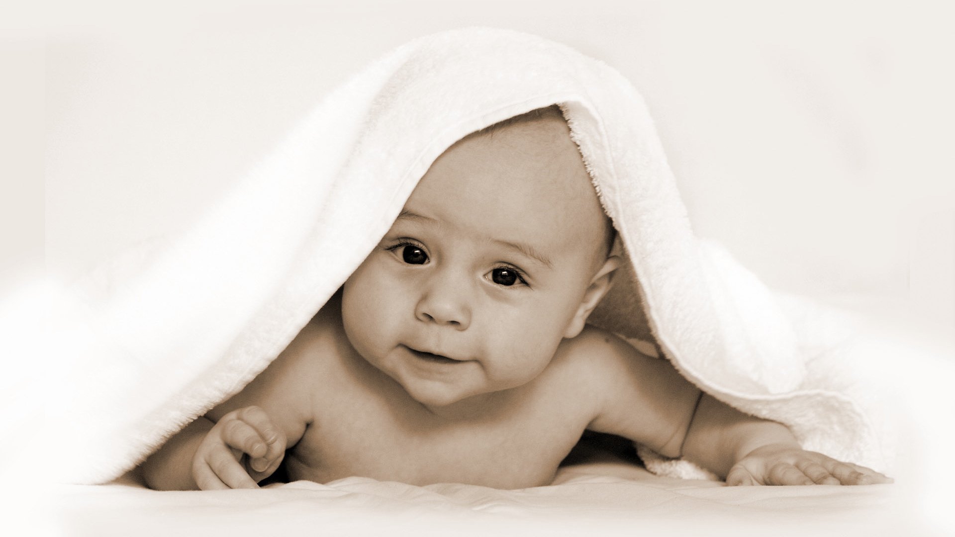 温州正规借卵影响试管婴儿成功率